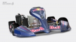 Red Bull Racing Kart 125 02 1387296600