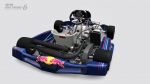 Red Bull Racing Kart 125 03 1387296601